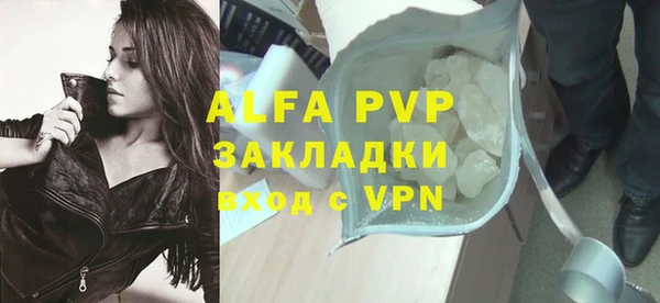 молекула духа Елабуга