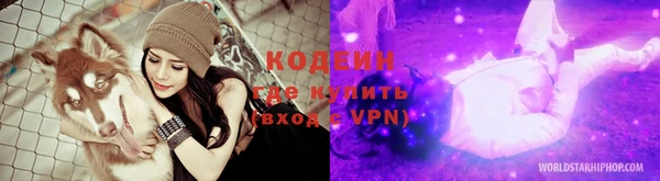 молекула духа Елабуга