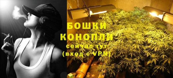 молекула духа Елабуга