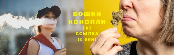молекула духа Елабуга