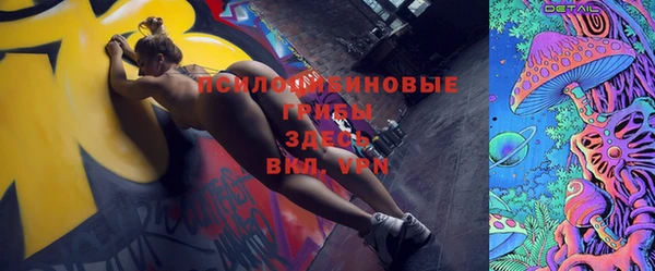молекула духа Елабуга