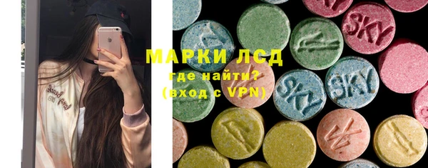 молекула духа Елабуга