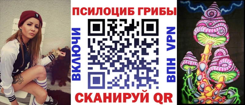 Псилоцибиновые грибы Psilocybine cubensis  Купить где  Соль-Илецк 